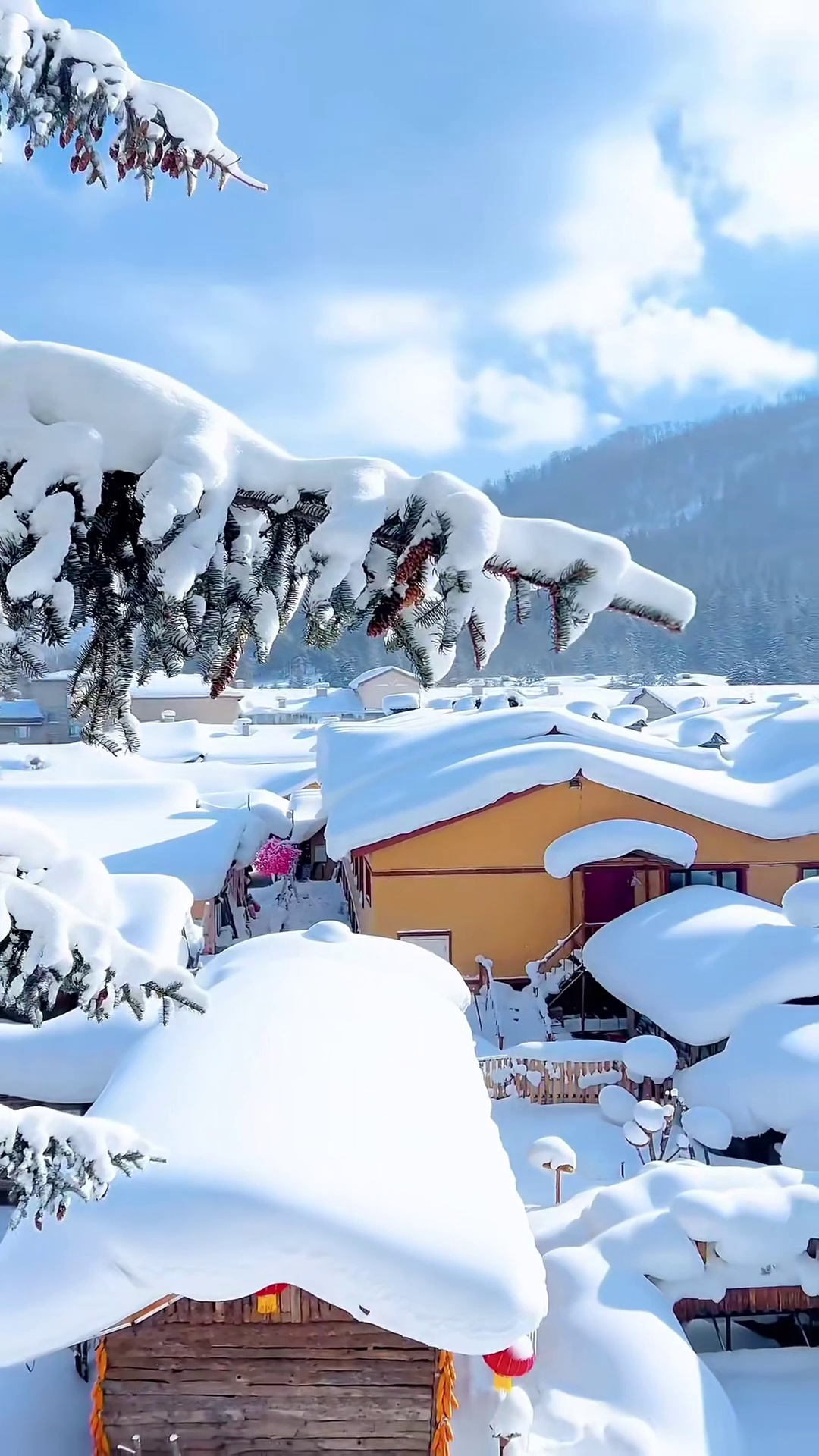 Epic Northeast Snow Wonderland Odyssey